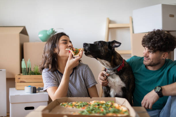 Apartment Couple with Dog